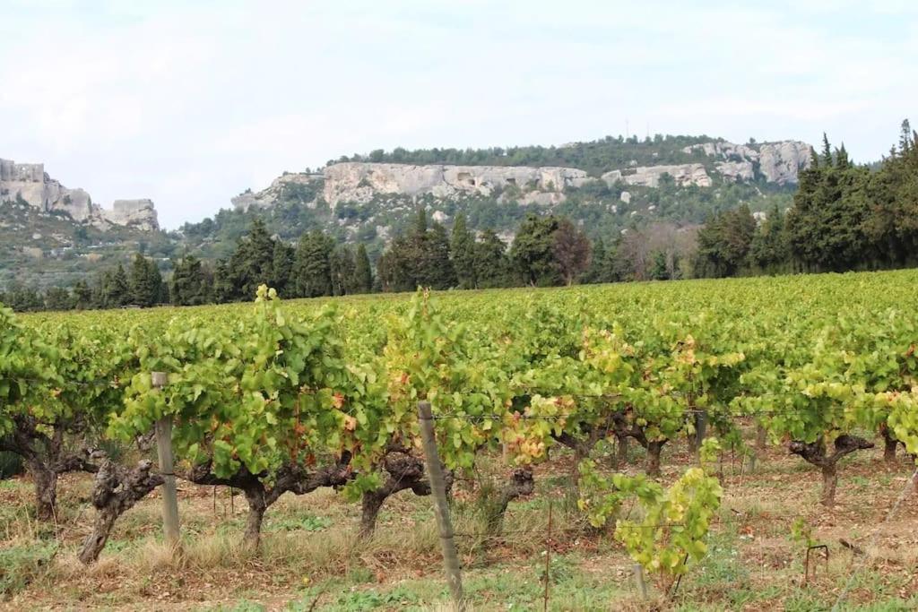La Petite Maison De Maussane *** Εξωτερικό φωτογραφία