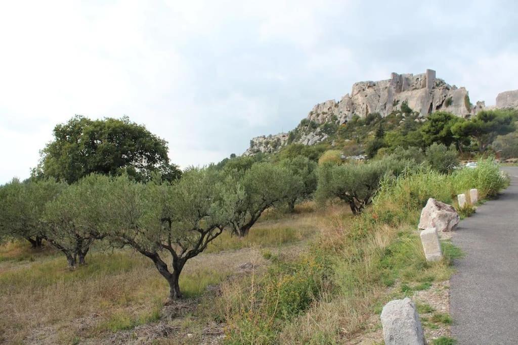 La Petite Maison De Maussane *** Εξωτερικό φωτογραφία